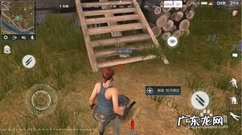 手机上的大逃杀好玩吗