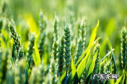 马云预言创业新趋势有前景的10大火爆创业项目