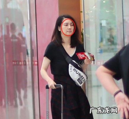 洪欣个人资料简介 洪欣个人资料