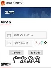 手机上怎么查询低保