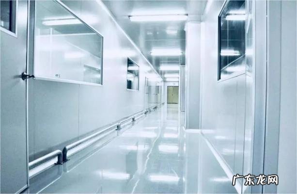 男性荷尔蒙是什么味道 荷尔蒙是什么味道