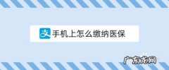 手机上怎么缴纳医保