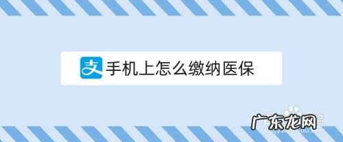手机上怎么缴纳医保