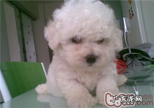 11种比照熊有利的食材