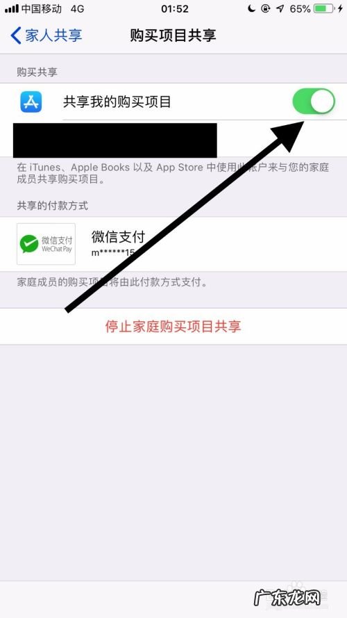 苹果手机如何共享购买项目,apple家庭共享能看什么?