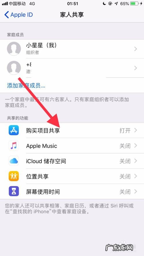 苹果手机如何共享购买项目,apple家庭共享能看什么?
