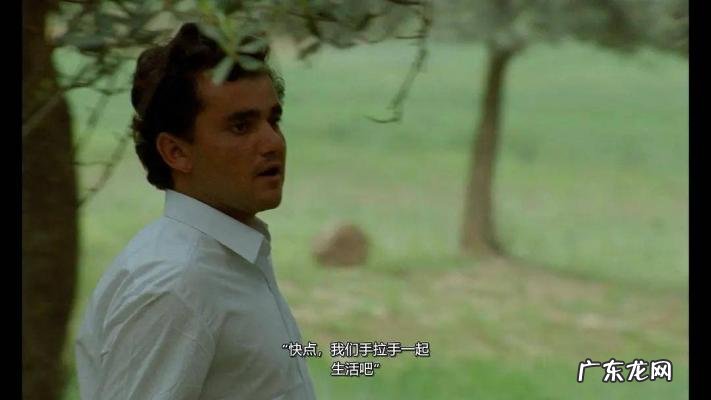 橄榄树大结局xiazai 橄榄树大结局