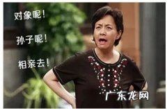 租女友回家过年 租男友回家过年