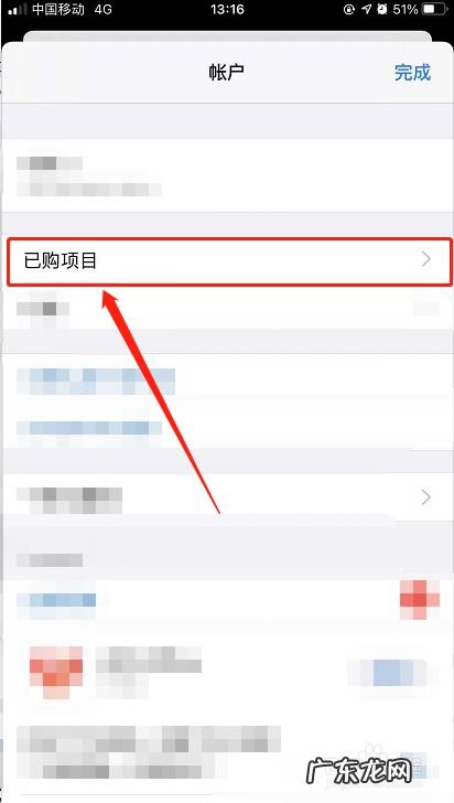 苹果手机如何查看已购项目