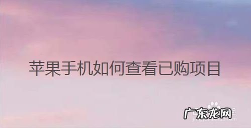 苹果手机如何查看已购项目