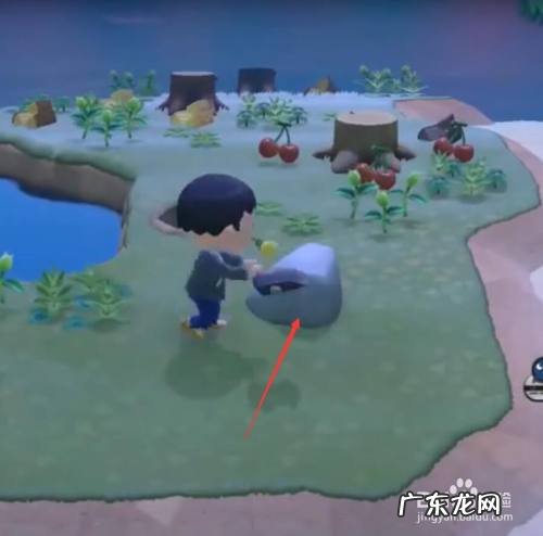 动森挣钱最快的方法,动森化石卖给谁最赚钱?