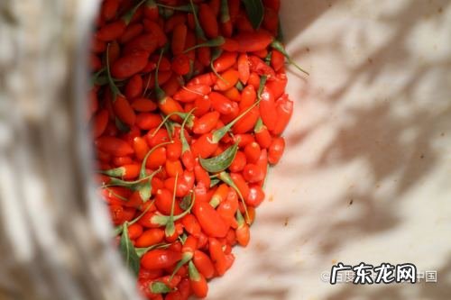 最快的排铅方法