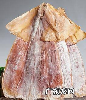 泡发鱿鱼干最快的方法