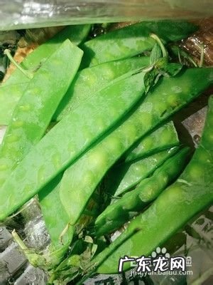 掉秤最快的营养汤