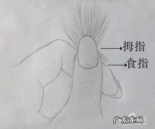 剪刘海最快的方法