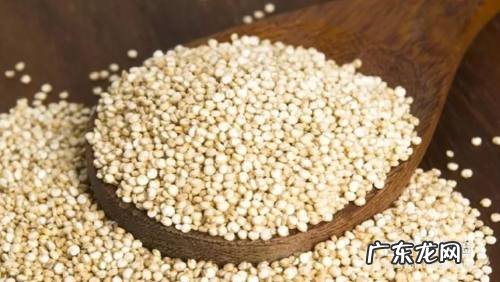 减肥效果最快的十种食物