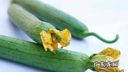 减肥效果最快的十种食物