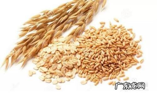 减肥效果最快的十种食物