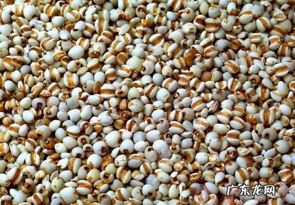 吃什么可以排毒去色斑 吃什么去色斑