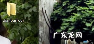 如何在码云上新建项目并将本地项目上传到码云,新建项目和续建项目？