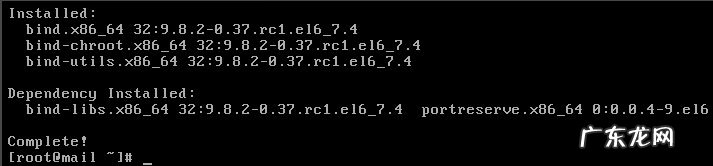 CentOS Linux如何安装DNS服务器(linux怎么安装dns)