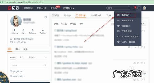 Oschina码云上传项目