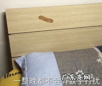 风油精滴在创可贴上有什么妙用