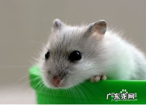 淘宝卖什么赚钱