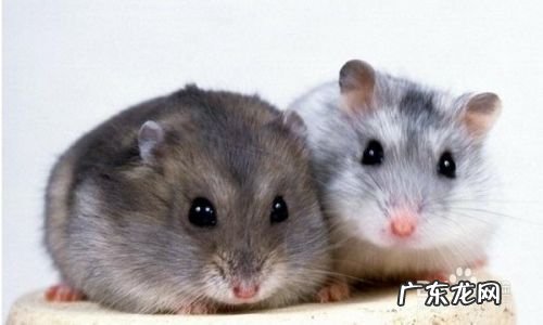 淘宝卖什么赚钱