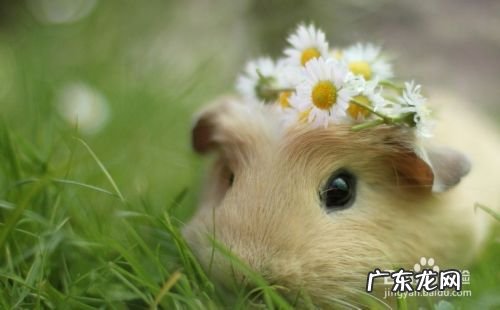 淘宝卖什么赚钱