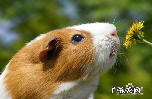 淘宝卖什么赚钱