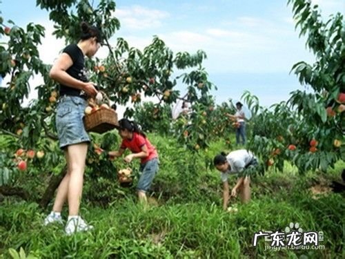 旅游玩什么项目好呢