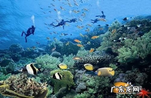 在豪华游艇上有什么好玩