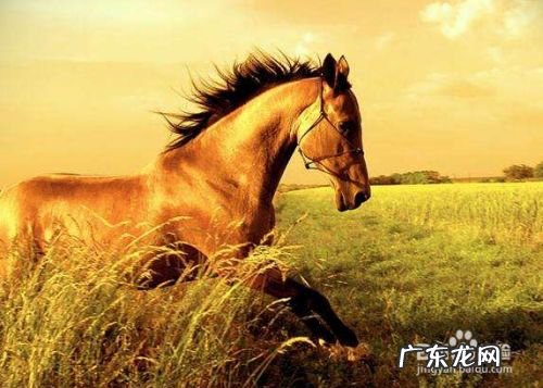 在网络上做什么更赚钱