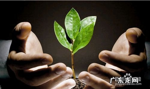 连创业都不敢，还谈什么赚钱,为什么不敢创业？