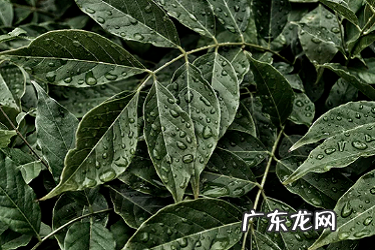 ebay选品渠道有哪些?有哪些工具可以用?