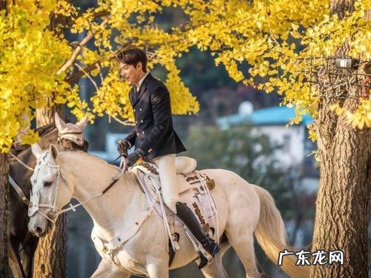 李敏镐最新电视剧2020 李敏镐最新电视剧