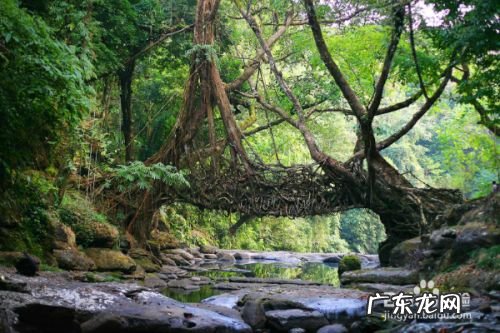手机适合拍摄什么类型照片
