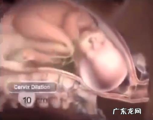 孕妈顺产流程-什么样的孕妈适合顺产