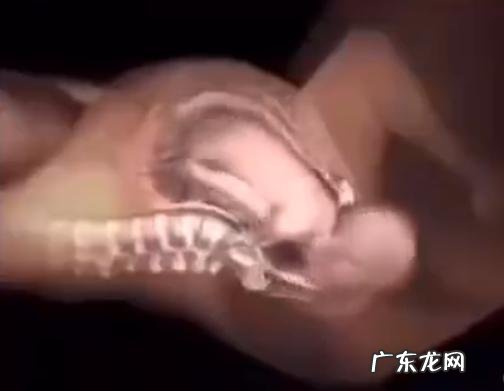 孕妈顺产流程-什么样的孕妈适合顺产