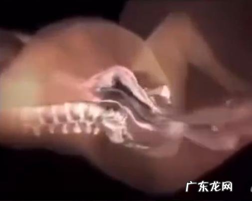 孕妈顺产流程-什么样的孕妈适合顺产