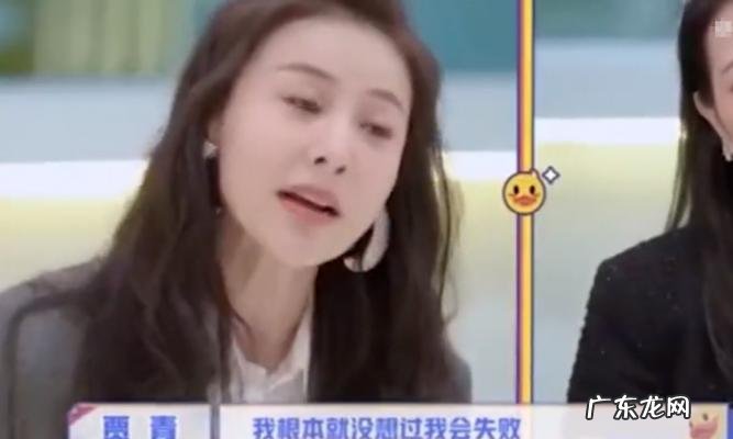 贾青的资料 贾青资料