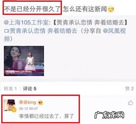 贾青的资料 贾青资料