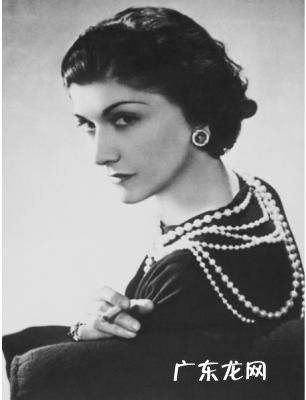 贾青的资料 贾青资料