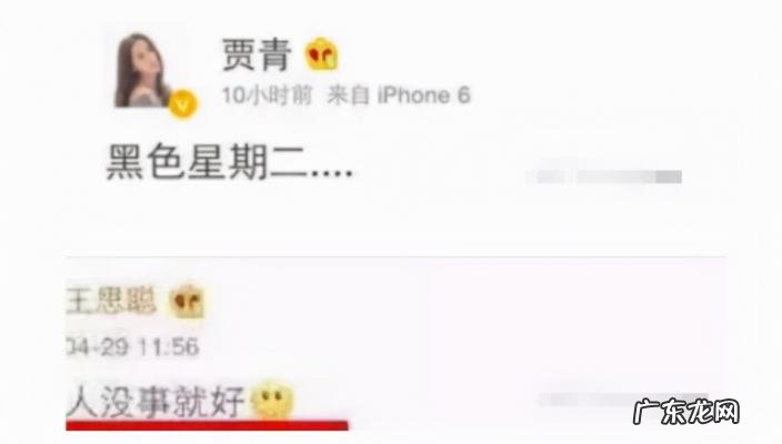 贾青的资料 贾青资料