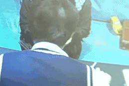 昆明春药品店有哪些 女用春药有哪些