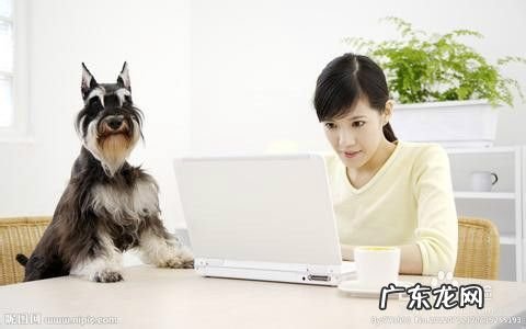 什么,什么辅助我们成长,情侣农场最好用的辅助?