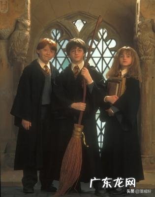 仙踪林视频最新入口电影资讯 电影咨询