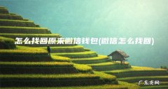 微信怎么找回 怎么找回原来微信钱包