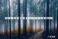微信账号找回 微信账号忘了怎么找回